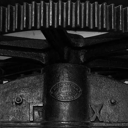 Olive Holiday home Tripiti